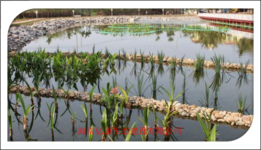 片域環(huán)境治理